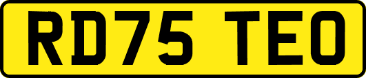 RD75TEO