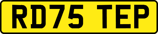 RD75TEP