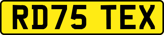 RD75TEX