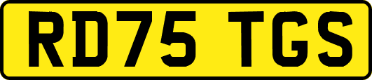 RD75TGS