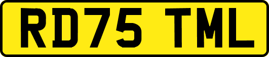 RD75TML