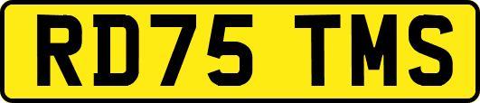 RD75TMS