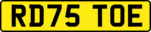 RD75TOE