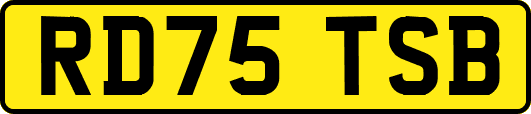 RD75TSB