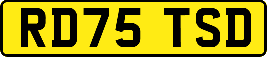 RD75TSD