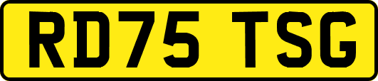 RD75TSG