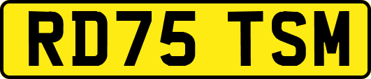 RD75TSM