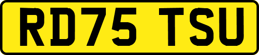 RD75TSU