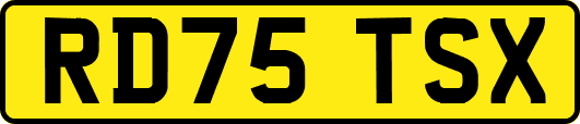 RD75TSX