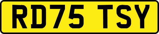 RD75TSY
