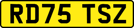 RD75TSZ