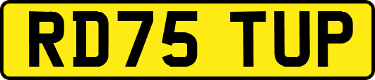 RD75TUP