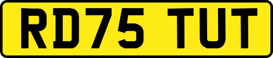 RD75TUT