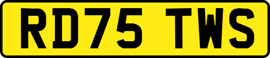 RD75TWS