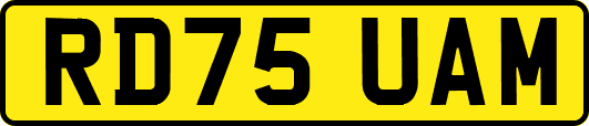 RD75UAM