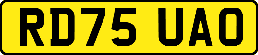 RD75UAO