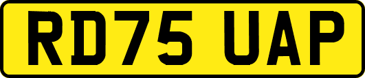 RD75UAP
