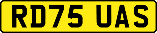 RD75UAS