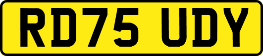 RD75UDY