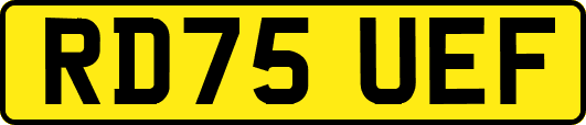 RD75UEF