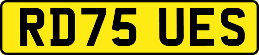 RD75UES