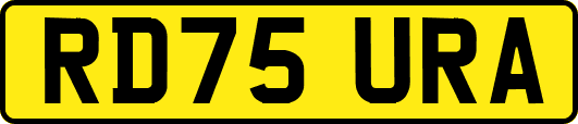 RD75URA