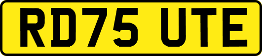 RD75UTE