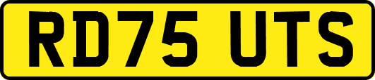 RD75UTS