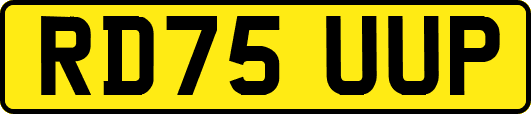RD75UUP