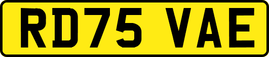 RD75VAE