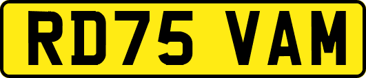 RD75VAM