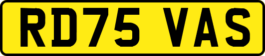 RD75VAS