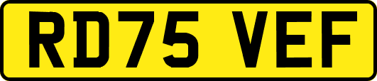 RD75VEF