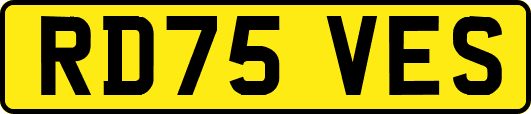 RD75VES