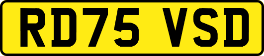 RD75VSD