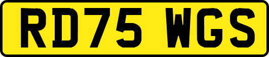 RD75WGS