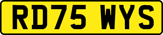 RD75WYS