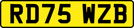 RD75WZB