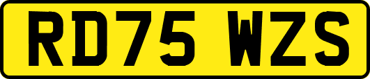 RD75WZS