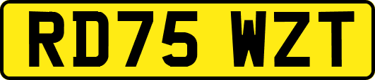 RD75WZT