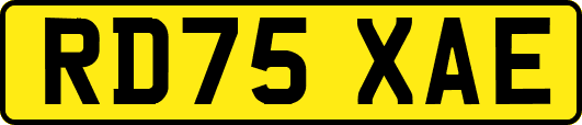 RD75XAE