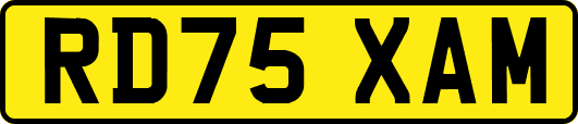 RD75XAM