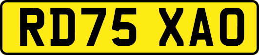 RD75XAO