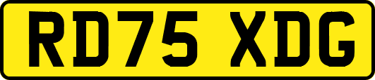 RD75XDG