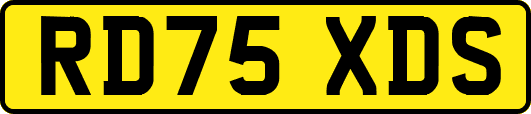 RD75XDS