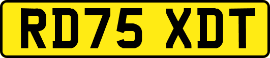 RD75XDT