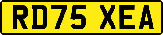 RD75XEA