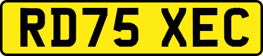 RD75XEC