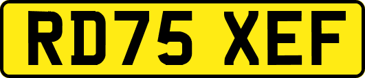 RD75XEF