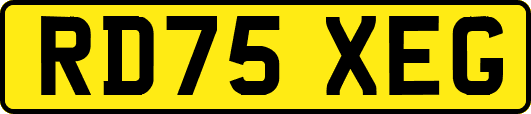 RD75XEG